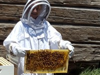 Beehive at the Ranch